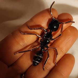 Black Ant Brooch
